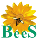 BeeS Software Solutions Pvt Ltd